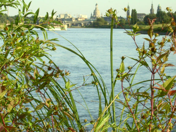Stadtnahe Natur