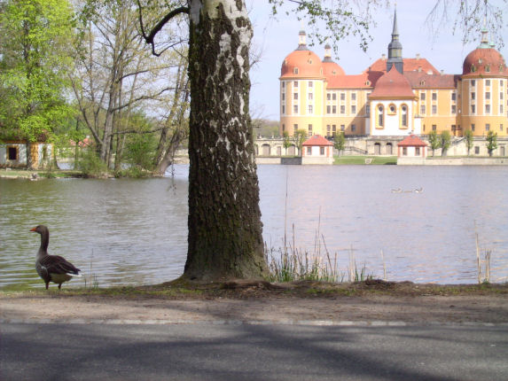 Jagdschloß Moritzburg